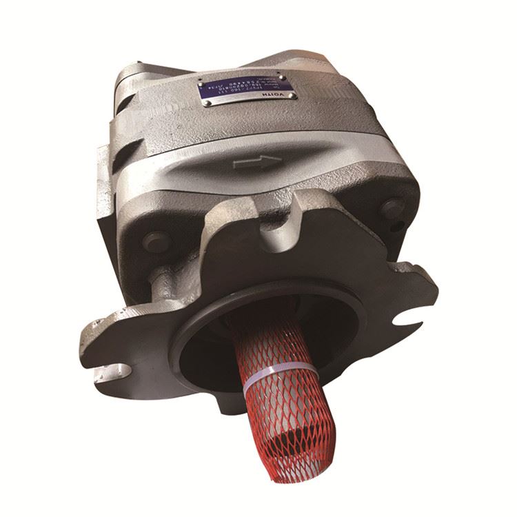 משאבת הילוכים פנימית IPV5-40-111 משאבת שמן משאבה הידראולית