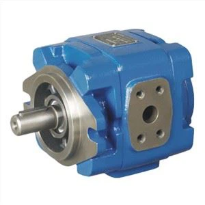 SUNNY באיכות גבוהה HG1 32 01R PVC HG1-32-01R-PVC משאבת שמן פנימית