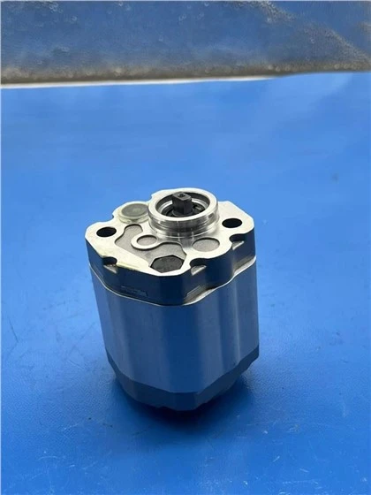 CBKP 32/32/18 BF XL CBKA-F4.2F CBHZG-GF30-AL CBKP100/63/50 CBKP100/50/40-BFP משאבת הילוכים הידראולית CBK-F2.1 CB-KPR{{ 19}}/80/40-B1F1J